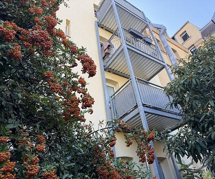 Kapitalanlage Mehrfamilienhaus ruhige Lage Johannis