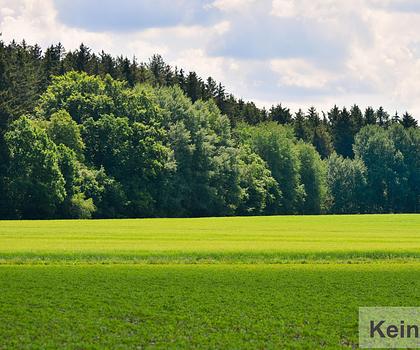 +++LANDWIRTSCHAFTLICHE FLÄCHEN (ÄCKER, WIESEN, WÄLDER) IN NEUNKIRCHEN AM BRAND - OT ERMREUTH+++