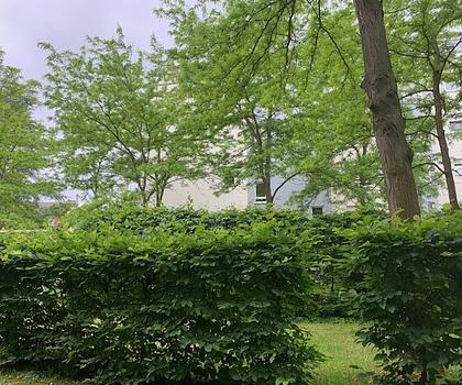 Zentral wohnen und angenehm ruhig ...