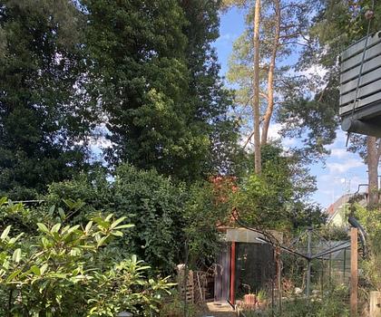 Ideal für Gartenfreunde ...
Modernisierte Wohnung mit großem Garten und Garage