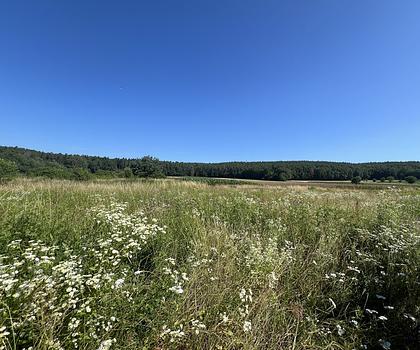 Aus EINS mach ZWEI! Großzügiger Bauplatz zum Bau eines Doppelhauses in Hirschaid/Erlach