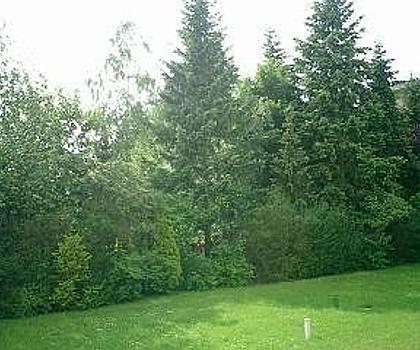 Kapitalanlage oder Eigenbezug ...
Einzimmer-Apartment im gepflegten Zustand