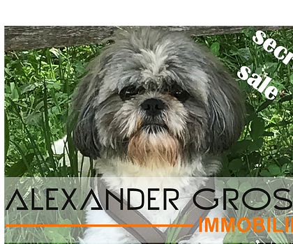 Baugrundstück für Wohnbebauung in  ansprechender Lage in Röthenbach an der Pegnitz
