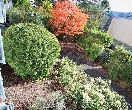 Moderne Wohnung mit neuer EBK und schönem Balkonblick