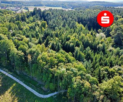 Waldgrundstück bei Altdorf-Ziegelhütte