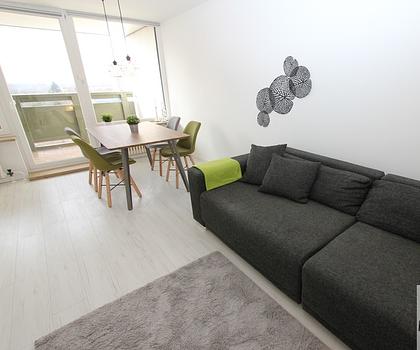 Moderne Wohnung in Langwasser