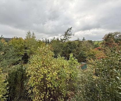 Ihre Zukunft im Grünen - Baugrundstück mit einzigartiger Hanglage in Emskirchen