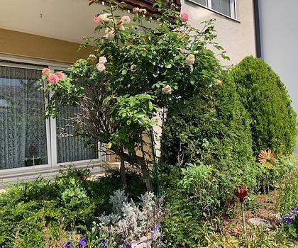 Gemütliches Ambiente ... 
die Räume hell und freundlich ... 