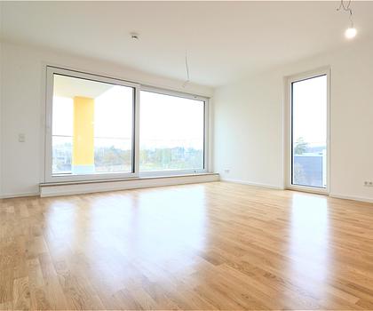 2-Zimmer-Penthouse-Wohnung mit Einbauküche und Dachterrasse nähe Messe / Dutzendteich