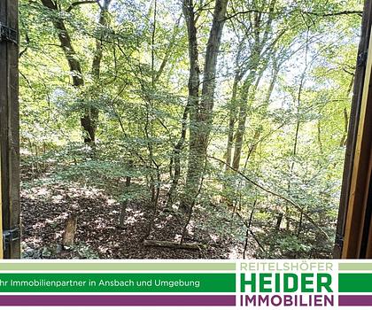 Wochenendgrundstück mit Waldbestand und kleinem Wochenendhaus