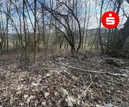 Großes Grundstück in Altdorf - OT Hegnenberg für ein EFH mit Garage