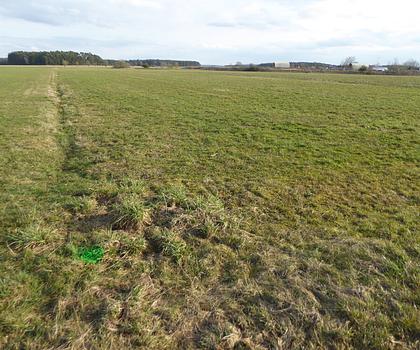 Attraktive Acker- und Grünlandflächen am östlichen Ortsrand von Neuendettelsau