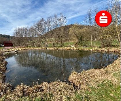 Fischteichanlage mit Nebengebäude in Vorra - OT Alfalter