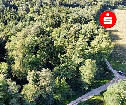 Waldgrundstück bei Altdorf-Ziegelhütte